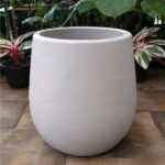 Mate Liso N°40