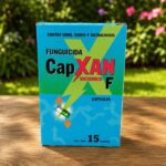 CapXan F 15 Capsulas