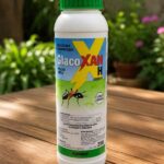 Hormiguicida Polvo  GlacoXan 250gr