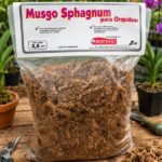Musgo sphagnum 3,5dm3