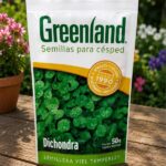 Dichondra 50Gr