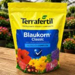 Blaukorn Classic 1kg