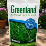 Bermuda 100Gr