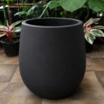 Mate Liso N°60