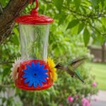 Bebedero para Colibris