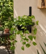 Aplique de Pared con Planchuela - Imagen 2