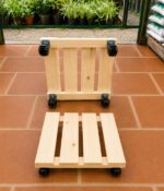 Deck con Ruedas - Imagen 2