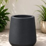 Mate Liso N°36