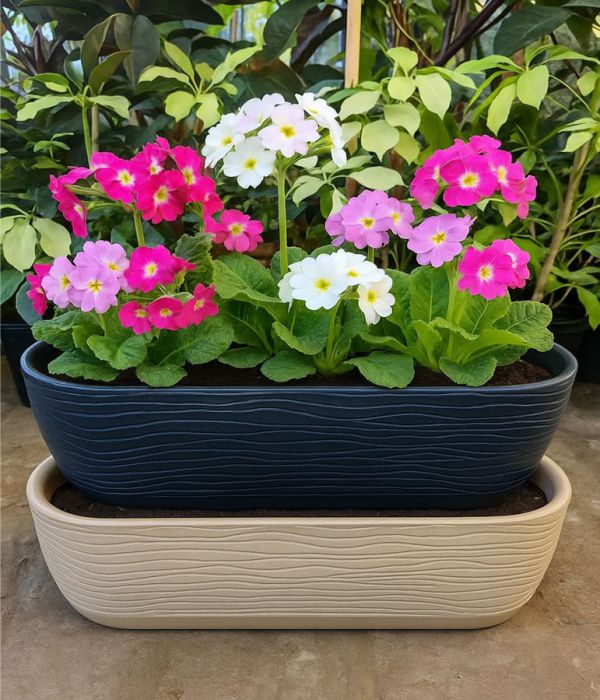 Nubefan Los Tulipanes 2604171747 Maceta pared sisal N°46 Maceta pared sisal N°46 - Imagen 1