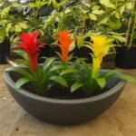 Maceta Trias Jardin N°38
