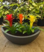 Maceta Trias Jardin N°38