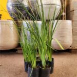 Promo Dietes x5un. Env 3lts