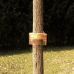 Barrera Anti-Hormigas