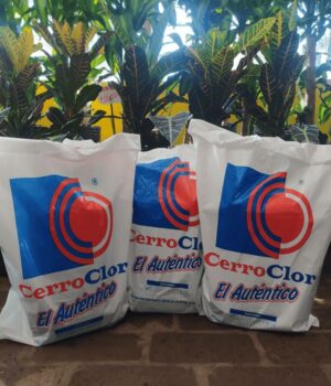 Bidón de cloro x10Lts c/funda x 3unid