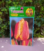 Bulbo de Tulipán - Imagen 5