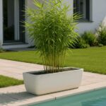 Caña Tacuara Env 10lts