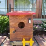 Casitas Para Pájaros