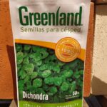 Dichondra x50Gr