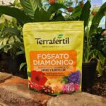 Fosfato diamonico x1kg
