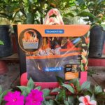 Kit Jardinería (13 Piezas)