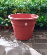 Maceta Clasica N°60 - Imagen 2