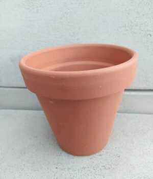 Maceta de Terracota Nº16