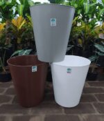 Maceta Mauro N°35 - Imagen 2