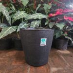 Maceta owen Deluxe N°24