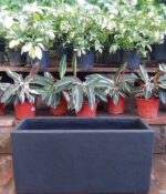 Maceta Rotomoldeado Jardinera N°60 - Imagen 3