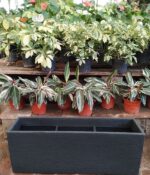 Maceta Rotomoldeado Jardinera N°80