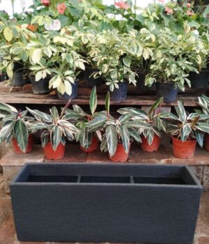 Maceta Rotomoldeado Jardinera N°80