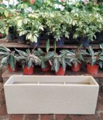 Maceta Rotomoldeado Jardinera N°80 - Imagen 2