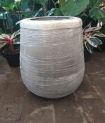 Mate Liso N°40