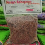 Musgo sphagnum 3,5dm3