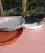 Plato N°20 - Imagen 2