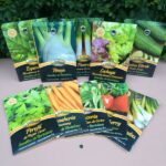 Semillas de Hortalizas x5 Sobres