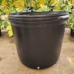 Soplado Americano N°50