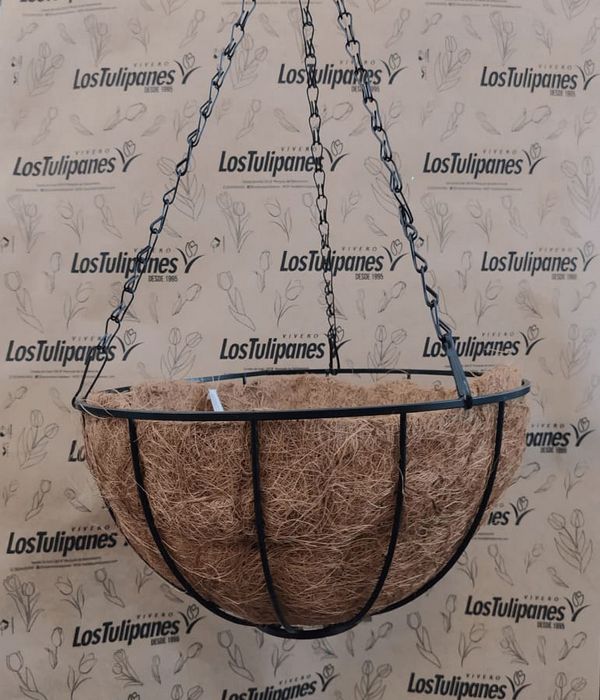 soporte-coco-30-vivero-los-tulipanes-nubefan Soporte Coco N°30 - Imagen 1