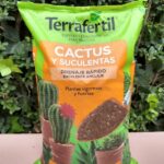 Sustrato Cactus y Suculentas Terrafertil 5lts