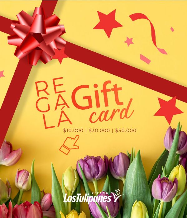 Nubefan Los Tulipanes 2610071148 Gift Card - Imagen 1